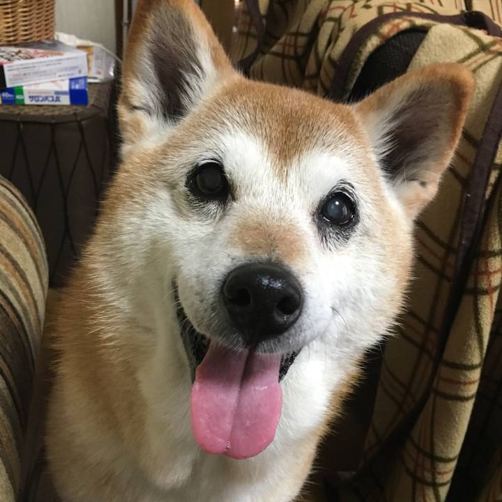 Ce9413ae 63ac 4bab 8083 365bd78fb519 1518744601435