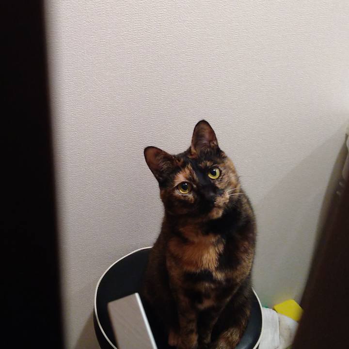 Ce942408 a83a 4032 8079 b9bdefffce40 1644932387028