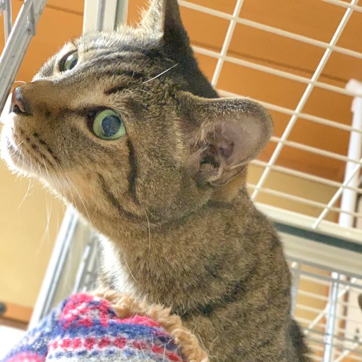 Ce9427cd 0104 4c33 b601 bce57e2b2981 1547082589282