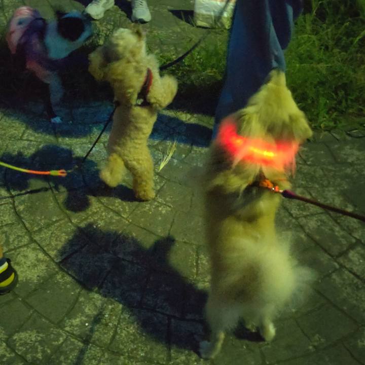 Ce94584c d4ad 426e b7a7 5e3e3753fefd 1758261375420