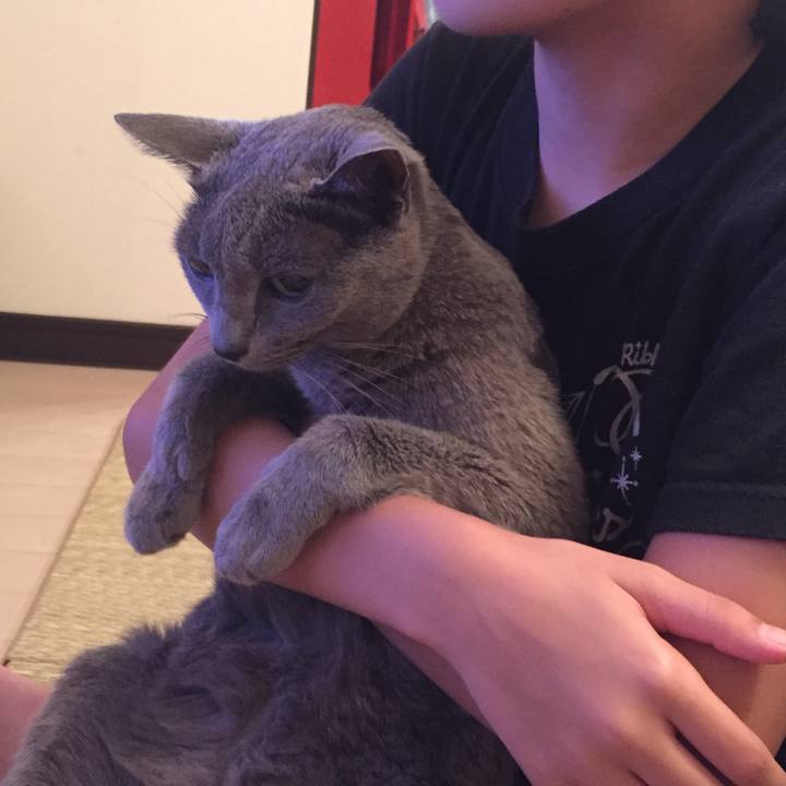 Ce948502 21c9 477e aa02 4208e8b04e34 1568935322908