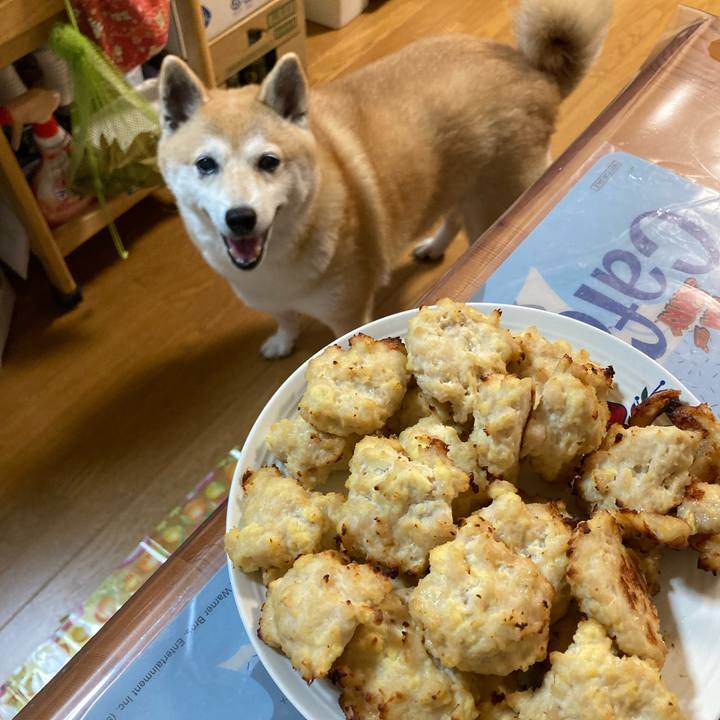 Ce94ad46 7e99 496b b506 c7d298360660 1633522312498