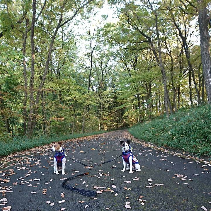 Ce94d203 4668 48f7 866b b38455ad076c 1542177019679