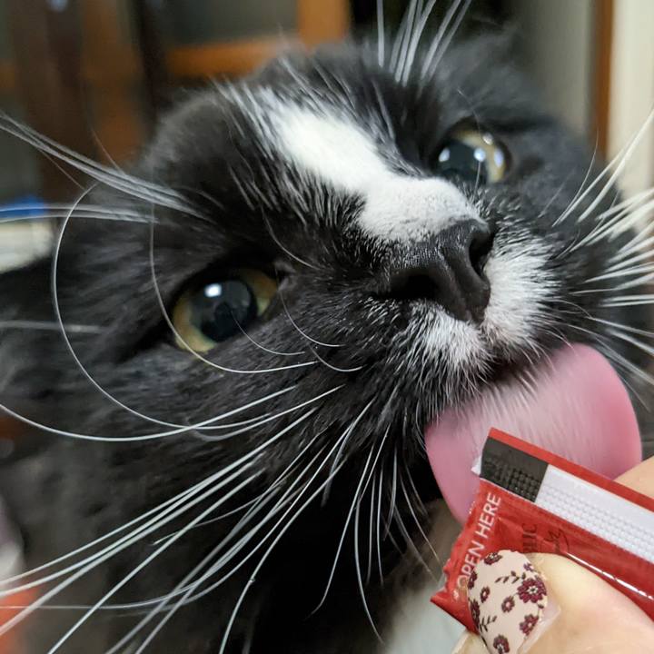 Ce95056f 5430 4d8a a62f 8eb9d00a0f9c 1668684848498