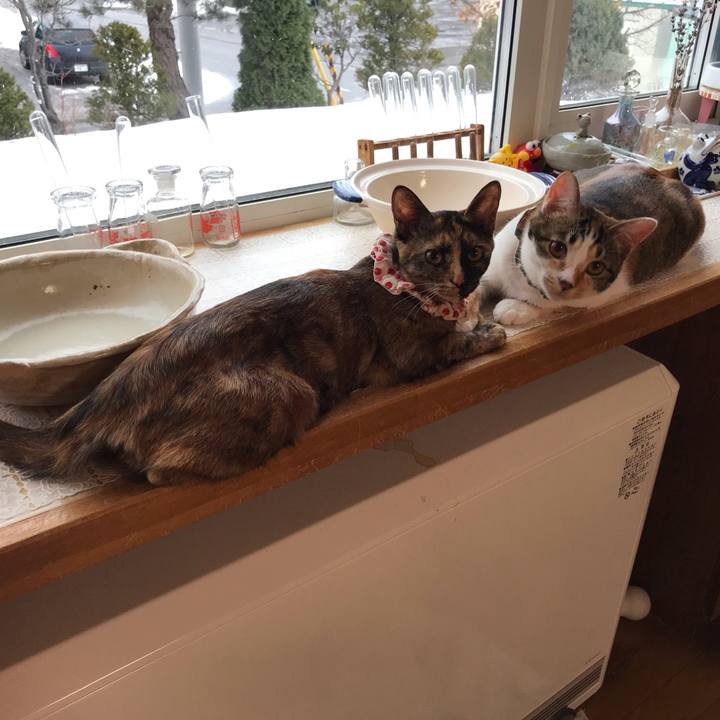 Ce9509c7 e71f 4faa a69d fa26554b6e46 1615757298930