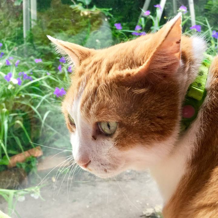 Ce950dac 6e98 4082 9e74 026ff52d6e93 1559013454398