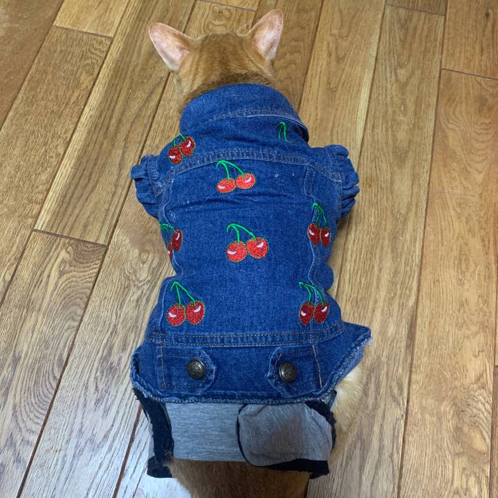 Ce953676 ace1 4d6b 9e3b b9b132b34e81 1663363847760