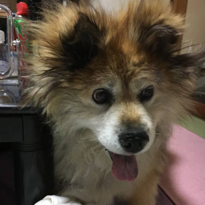 Ce957f0e 68f7 4637 ae88 df44991ee730 1606554701008