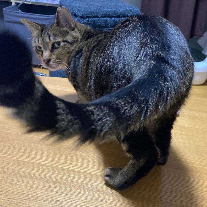 Ce95e44f 3342 496f 82e1 d05aba6cef2d 1652706689455