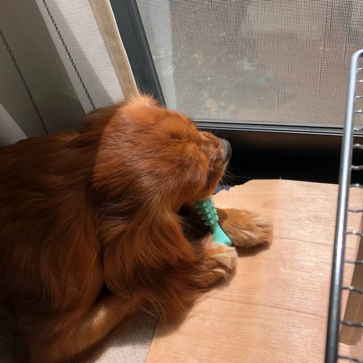 Ce962fec 032f 4cd4 b46f 06c0fad2ac5f 1535887942500