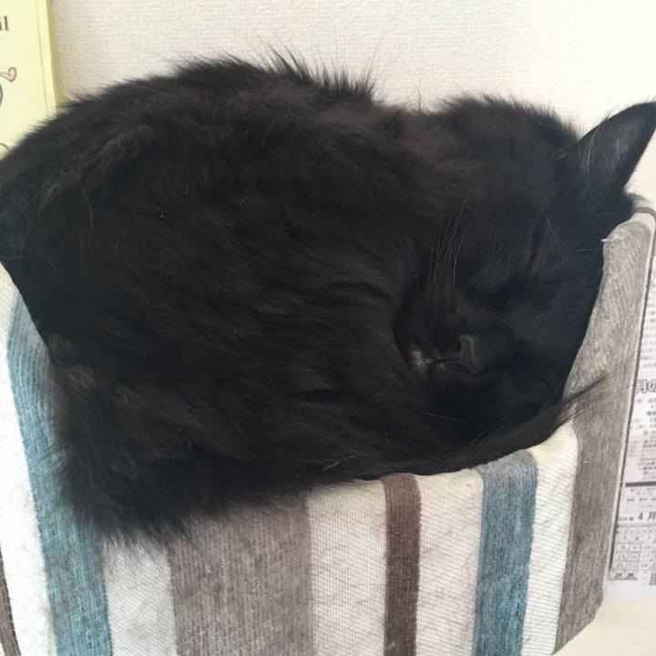 Ce963b2b 9717 4e16 82b0 f406eb19fa17 1553991878500