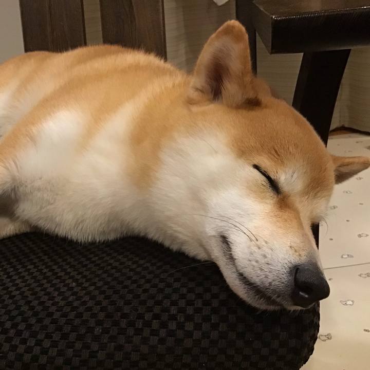 Ce965c22 34f6 4981 b750 ab27ed7d1f66 1642933885989