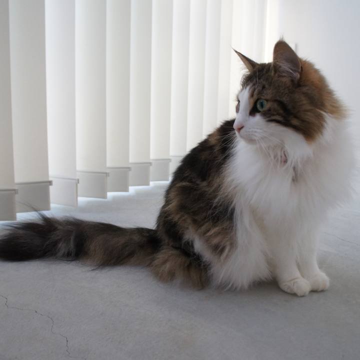 Ce967455 bf69 40dd b370 2c97052c0b91 1529238148314