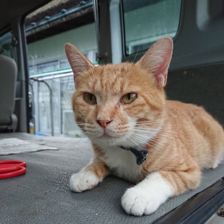 Ce96a977 2261 42b5 8f40 d8ef7b6280f9 1566464554459