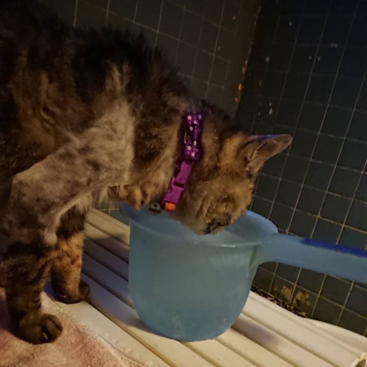 Ce96c8fc f2e0 45e4 a4b9 e53749e050e3 1592216661998