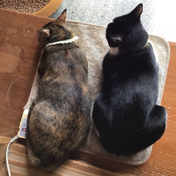 Ce96dccd 7801 4e11 900c 0695c4d43bee 1647831852672