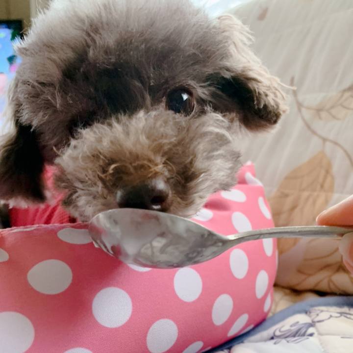 Ce971e21 4e1d 4d3b adfc b21bf95710d8 1630544544912