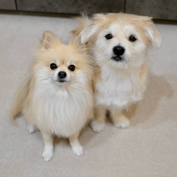 Ce973008 f93f 4cb9 bed2 7dee304b6b57 1769031755179