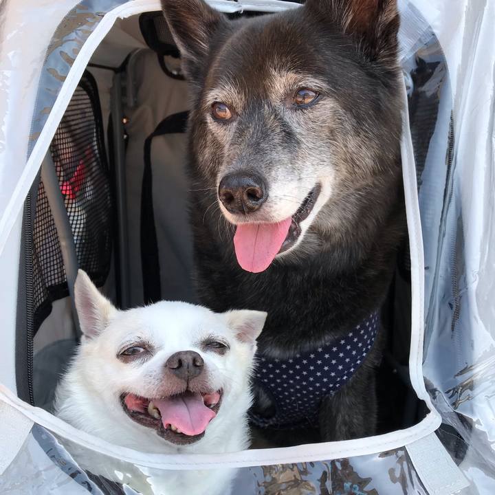 Ce973de1 58f6 45ec ae36 e2bc3e3edc1b 1591615336906