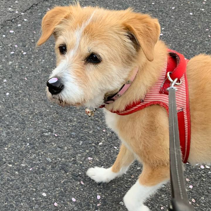 Ce97b7bb 8c30 43f7 9f27 6d0a2bdf12c4 1649239826990