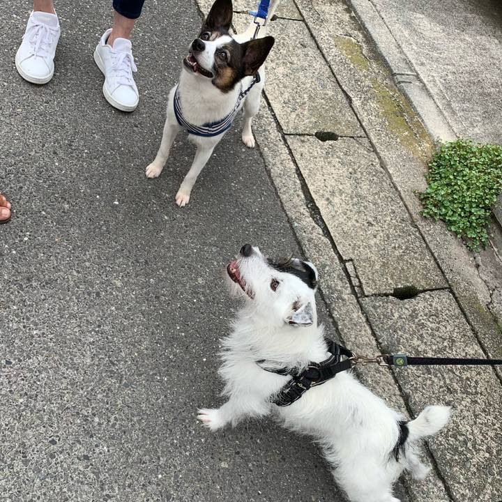 Ce97befe a5dc 478c 9135 560497a07f5e 1657699967989