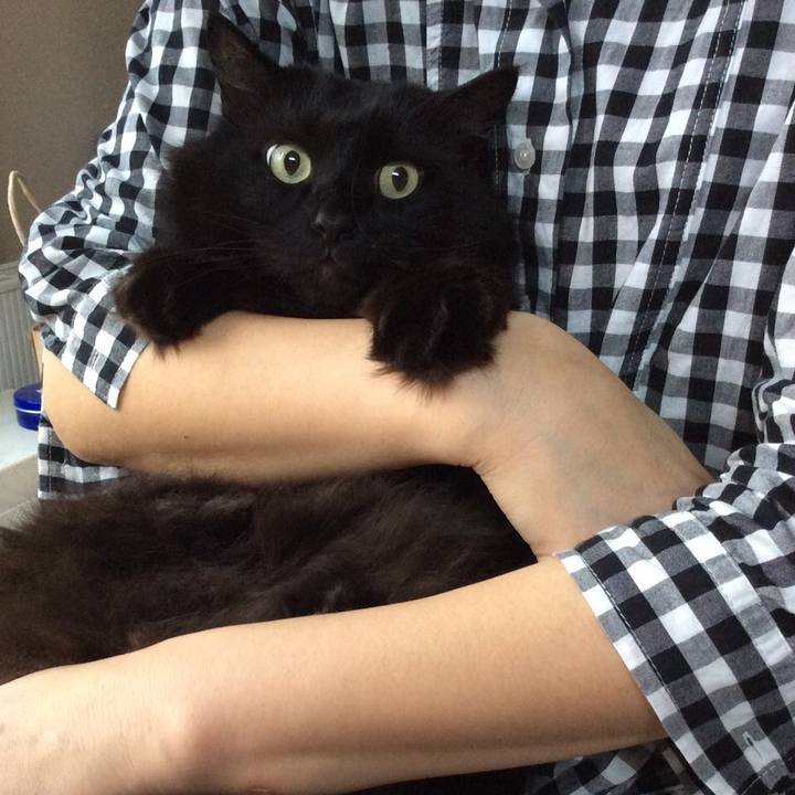 Ce97c39f 2960 4022 a3f4 4a928dc64410 1592557355730