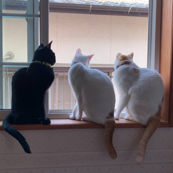 Ce97ea15 ae7f 41d7 937f 2983504e3a2c 1555838422806