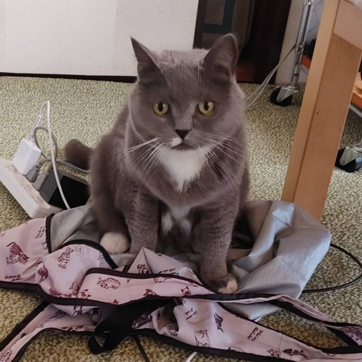 Ce97eda4 7dbc 44f2 bf5d b490ab825d86 1739312765905