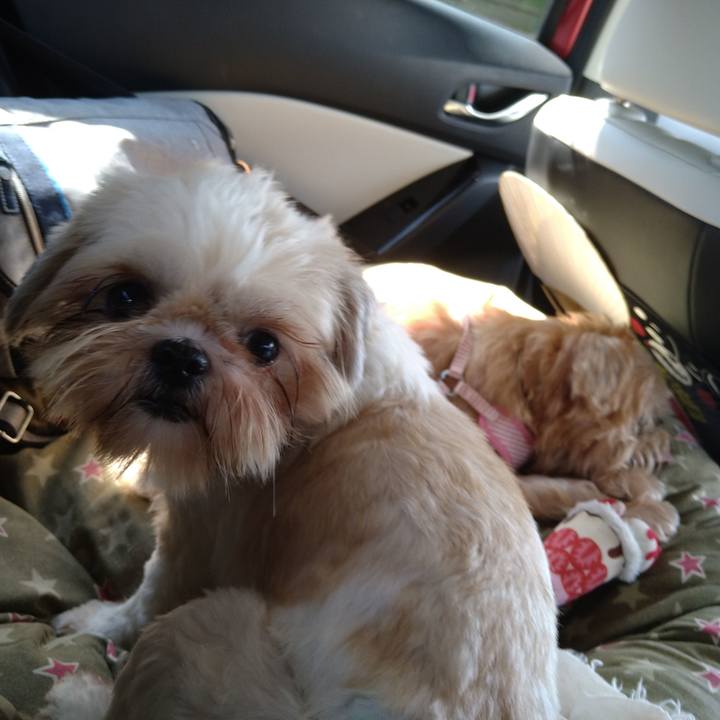 Ce97f530 b7f5 4560 a211 fea5921699c1 1598925257587