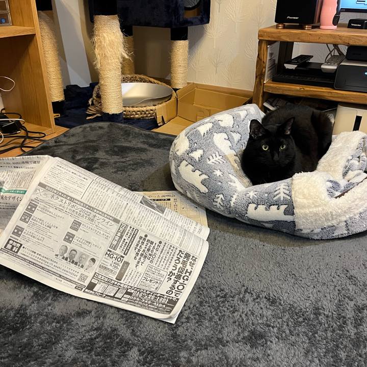 Ce980755 d902 416c a551 e27f8843662b 1640525061926