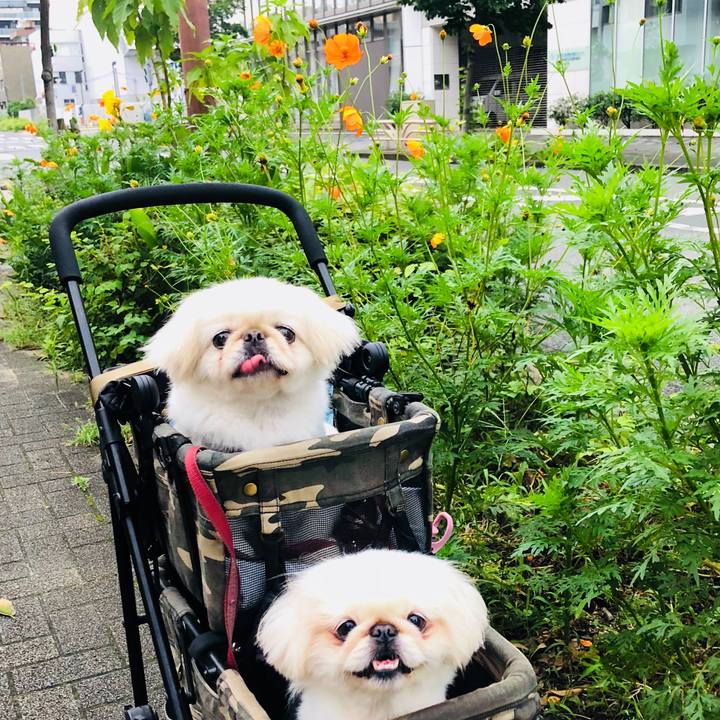 Ce986984 b562 45a8 9333 07dc7bc5d84f 1595885072103