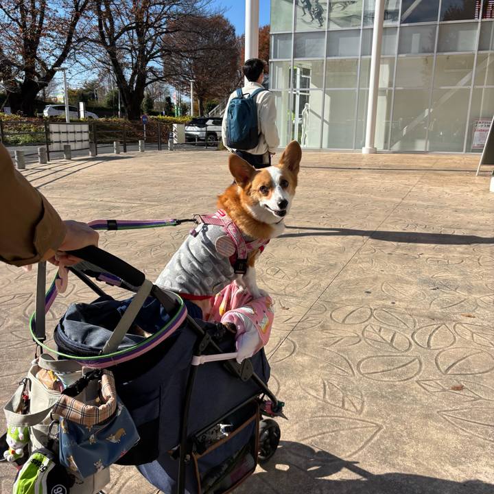 Ce988e21 8b82 4849 9ced 5afbc2a83a89 1764387686720