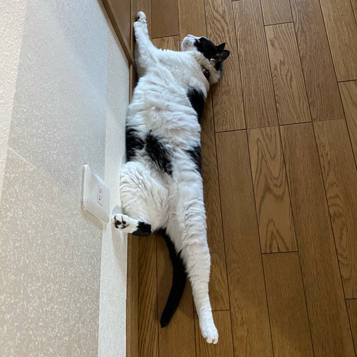 Ce98931d 3079 47b1 8235 8521088096d3 1599533204285