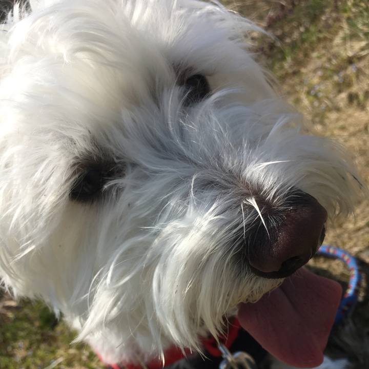 Ce98c0f0 de86 46bc 8f4b 9df46c511ce0 1556041411778