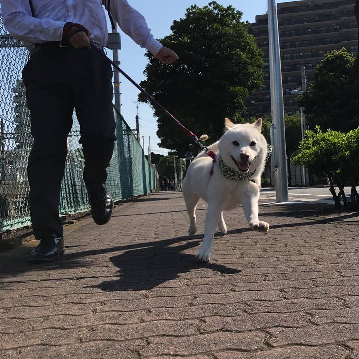 Ce9916f2 11f5 480f 800f cbce49f4db66 1533858996424