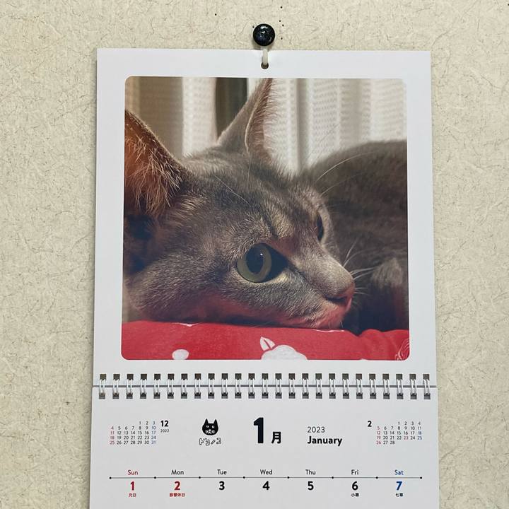 Ce991bc4 0f4c 40f3 a780 98a94a8570d7 1672538711969