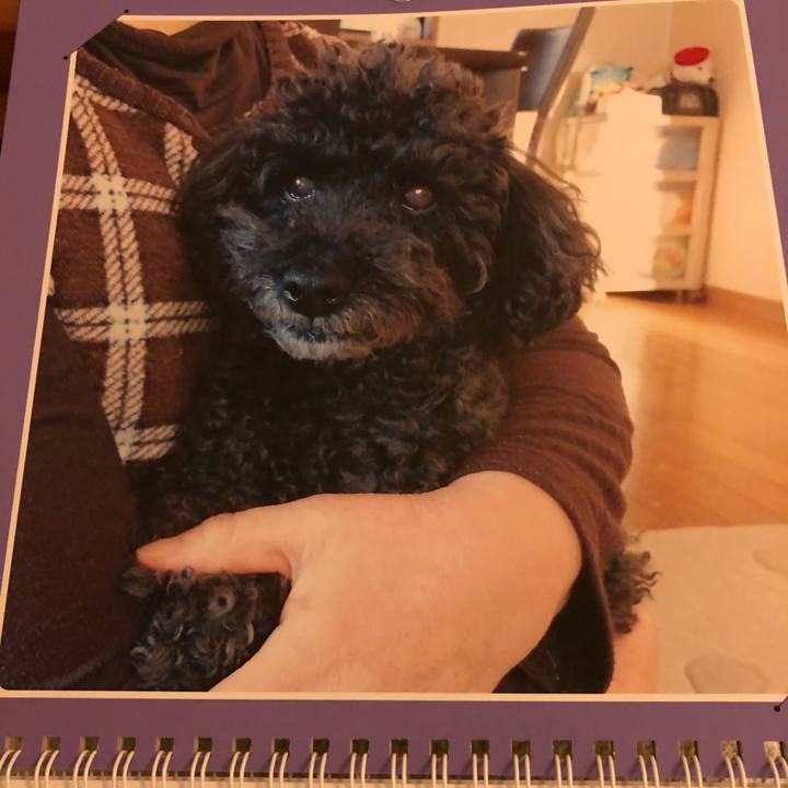 Ce9937e4 d6c0 4b17 b43c 698c3f946029 1607265727570