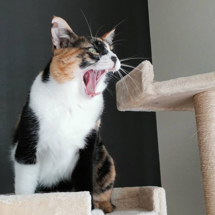 Ce996239 1d6d 40ad b1a9 43cd58ab8e34 1647071636602