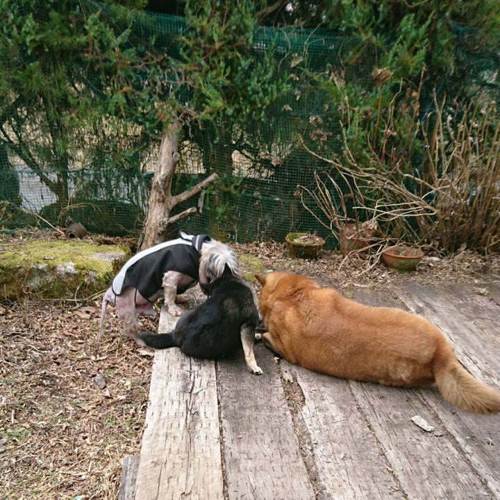 Ce99675e 691a 4df2 b5b0 f38323781c00 1552193601166