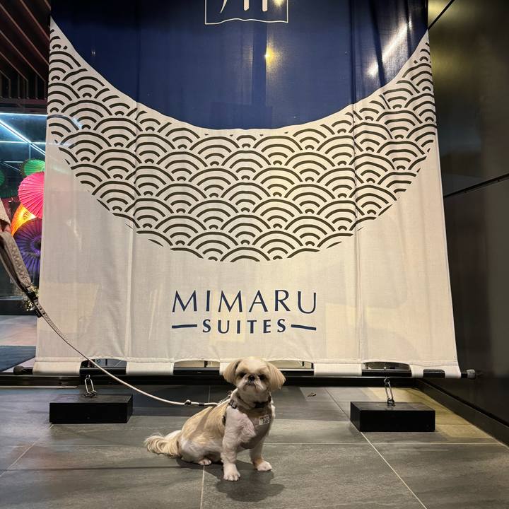 Ce997e92 4464 48d4 9e07 e821d6996504 1731766172429