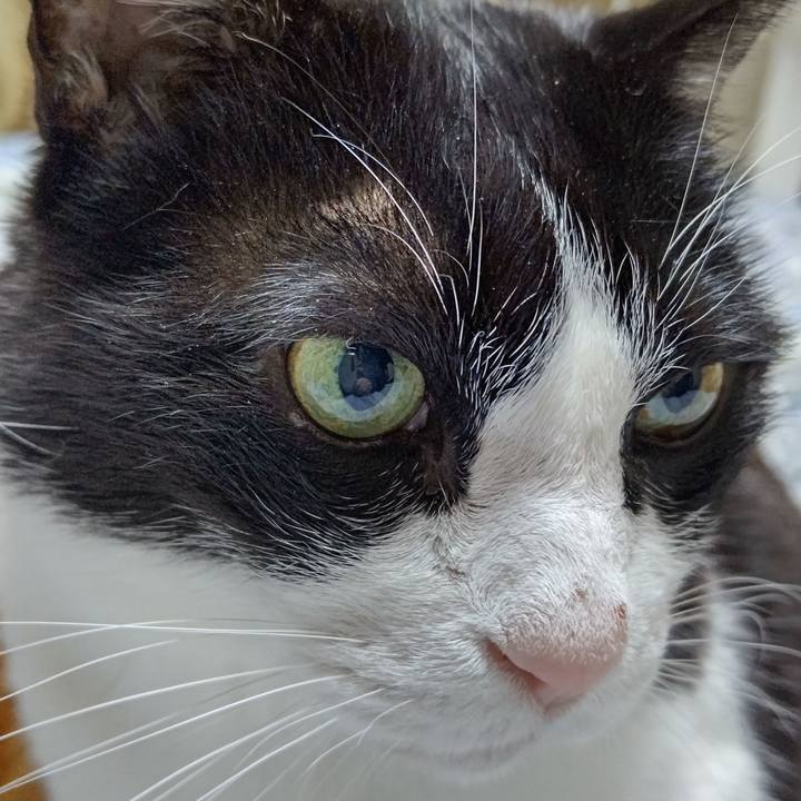 Ce998d1d 84bf 4a76 ac6d 2b13adaf3418 1641916143750