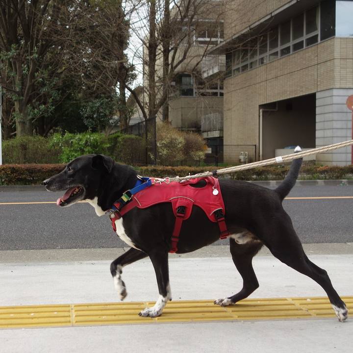 Ce99952e 65c2 4e94 ad98 66b9a1c635fc 1680050538091