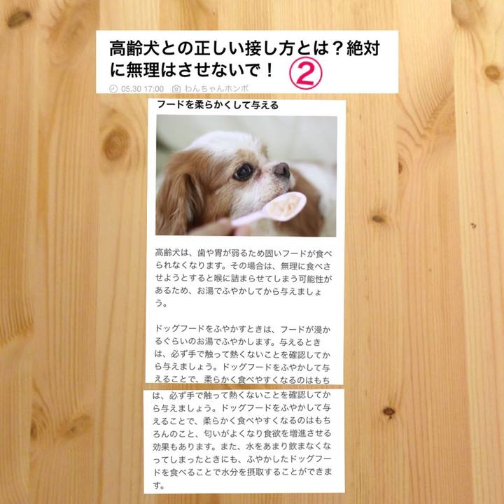 Ce999612 e93a 49c8 9eff 7a7173639e3e 1527749070986