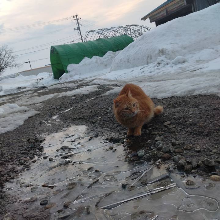 Ce99cbc3 4950 4a6d a522 8d9e0a8cfad2 1675725016211