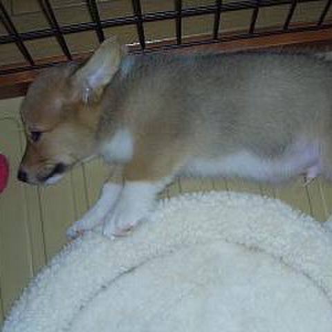 Ce99d4a8 80fa 41bf bd50 453f85019a19 1610555205597