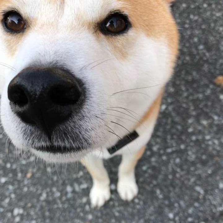 Ce99d732 62b4 4d92 8945 7e7eea1be251 1613867367311