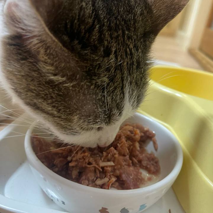 Ce99db13 3c6b 4bab 8c5c 5daf3912ed89 1626181554780