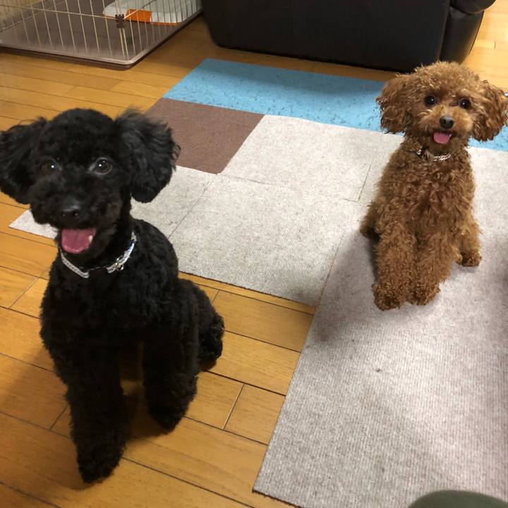 Ce9a16e6 6ab8 405c 8a34 305a121d387b 1521152698549