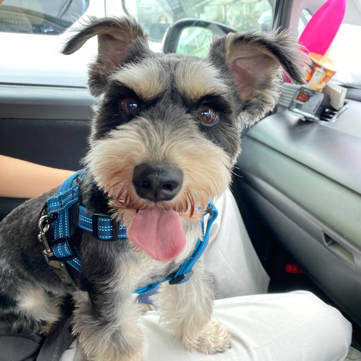 Ce9a4867 93fb 47fd a6c8 88ce0b983b73 1620404310681