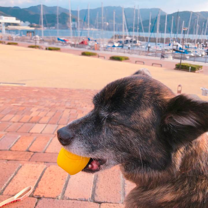 Ce9a713d 5359 44f6 b3fb 4c5cfdaf3757 1612141028264